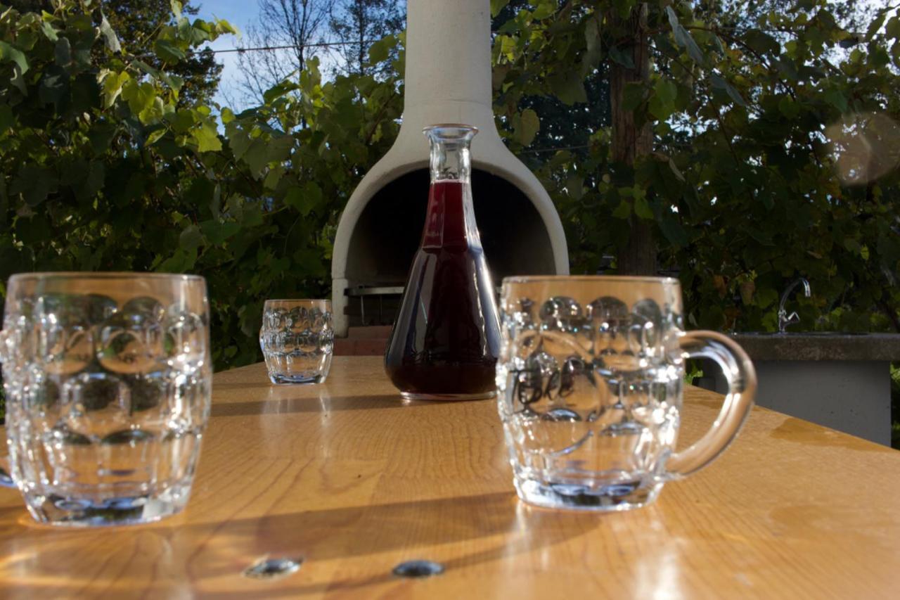 Hanzi Holiday Home Recica ob Savinji Kültér fotó